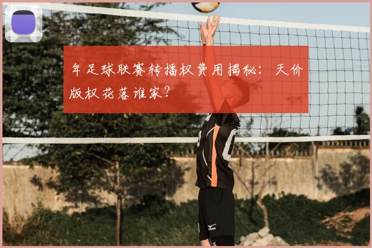 年足球联赛转播权费用揭秘：天价版权花落谁家？